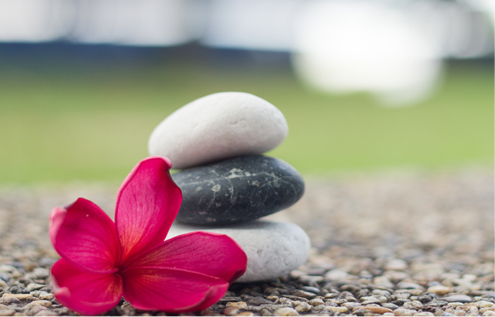 Mind Body & Soul Consultation